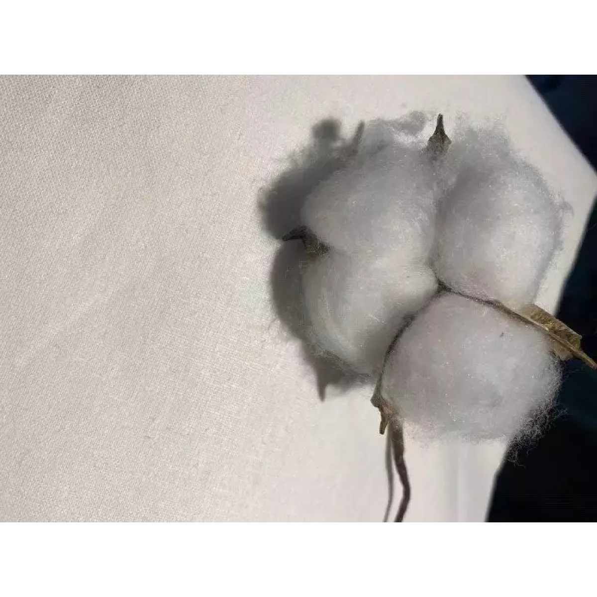 Наволочка бязь белая , 70х70