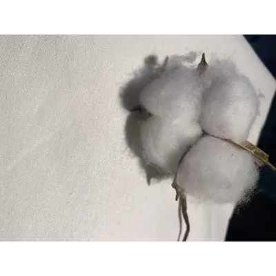 Наволочка бязь белая , 70х70