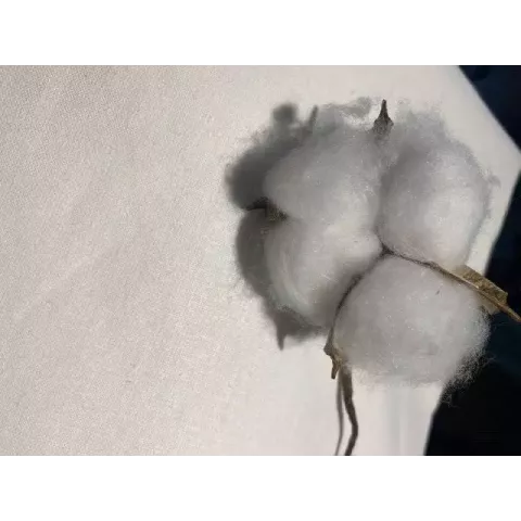 Наволочка бязь белая , 70х70