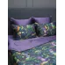 Комплект с одеялами KAZANOV.A "Колибри" аметист графит (тенсель/египетский хлопок), семейный