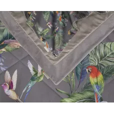 Комплект с одеялами Kazanov.a “Колибри Каллиопа” капучино (египетский хлопок-велюр), семейный