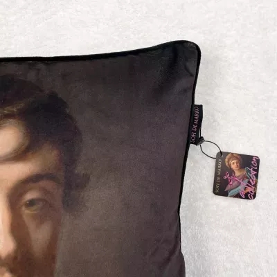 Подушка декоративная Sofi De Marko "Funny Art №2", 45х45