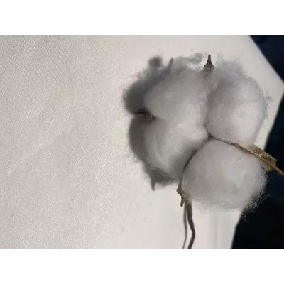 Пододеяльник бязь белая , 200х220